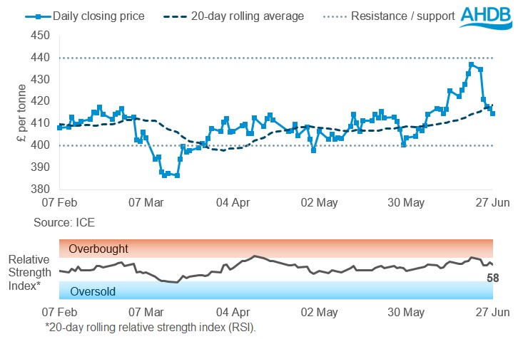 Oilseeds price graph 30 06 2025